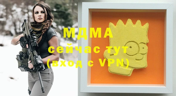 амф Ельня