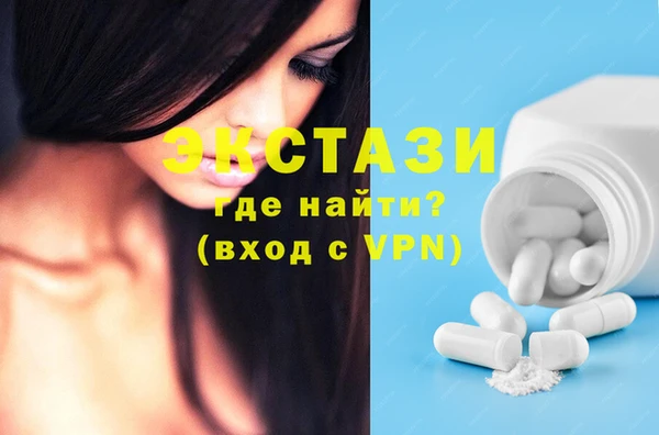 амф Ельня