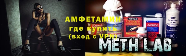 амф Ельня