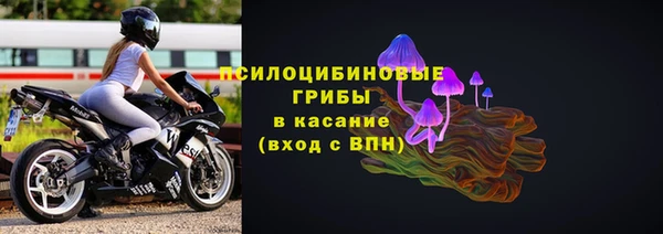 метадон Елизово