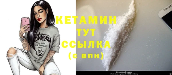 амф Ельня