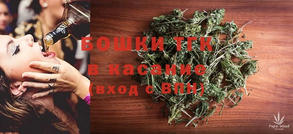 амф Ельня