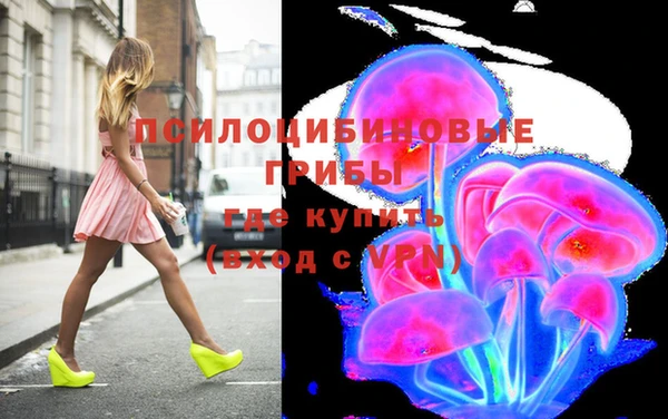 амф Ельня