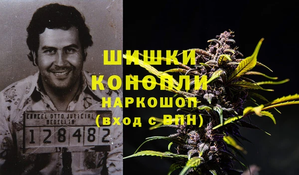 метадон Елизово