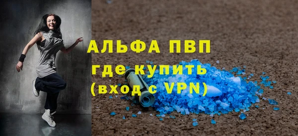 амф Ельня