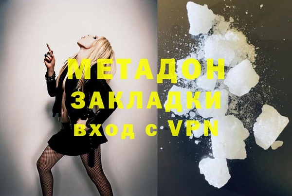 амф Ельня
