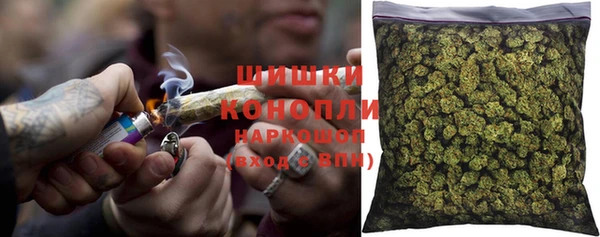 амф Ельня