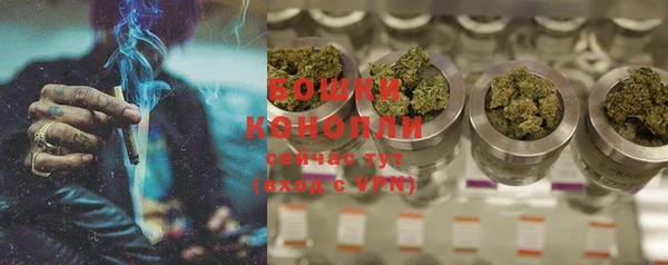 амф Ельня