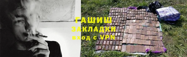 амф Ельня
